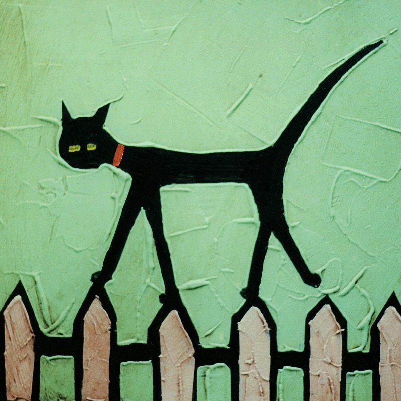 CAT ON FENCE card