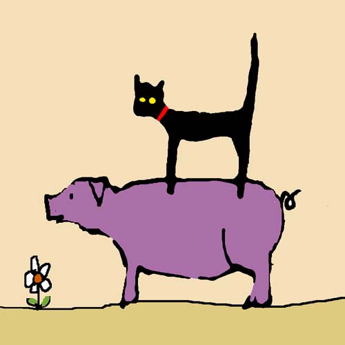 CAT ON PIG card